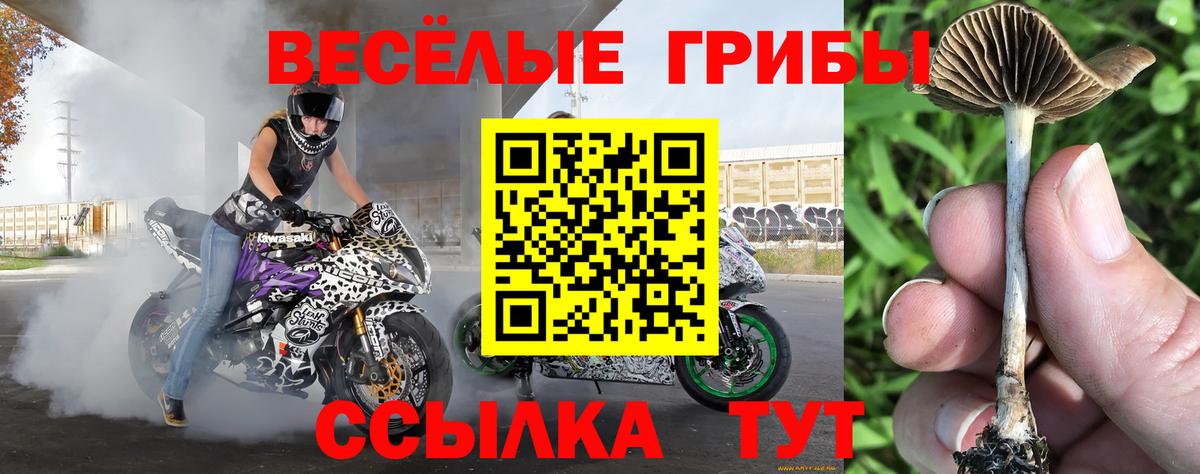 Псилоцибиновые грибы прущие грибы  Галлюциногенные грибы мицелий  Вход с VPN  Изобильный 
